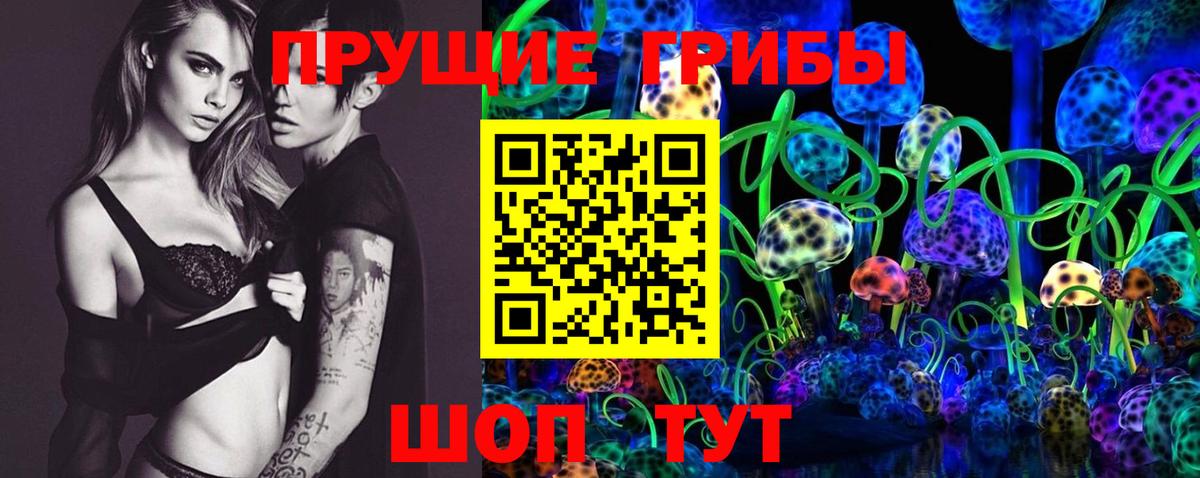 Псилоцибиновые грибы мицелий Шадринск