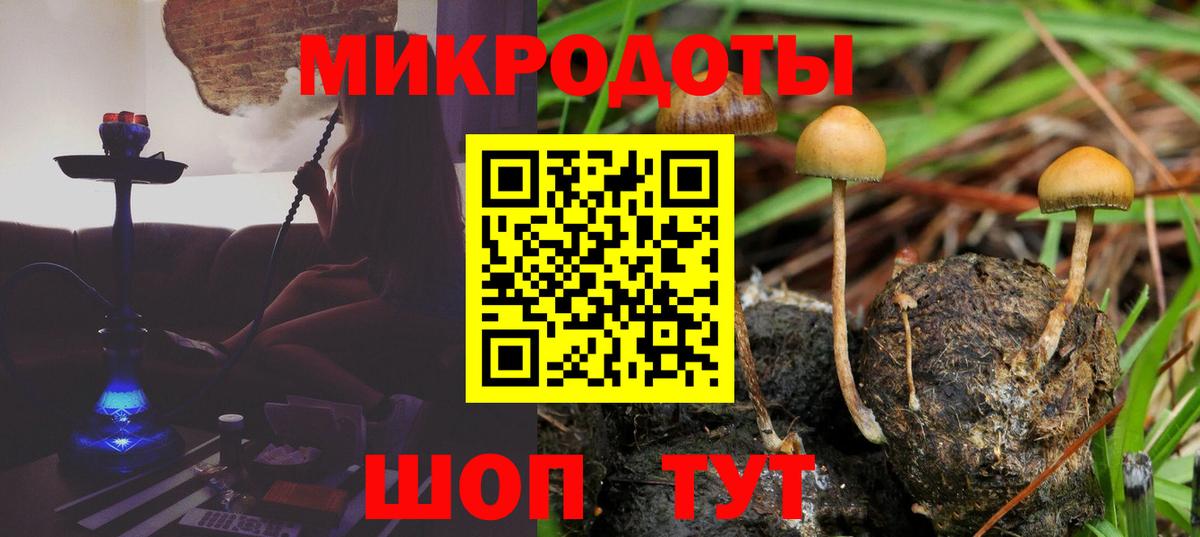 A PVP Шадринск