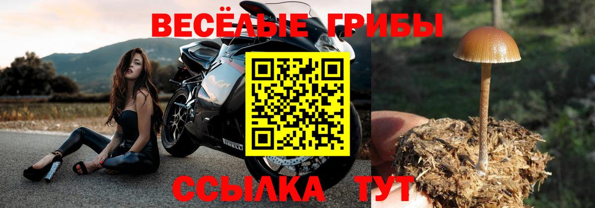 Галлюциногенные грибы Magic Shrooms  Вход с VPN  Шадринск 
